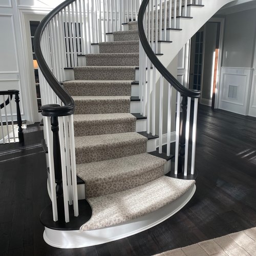 Hemphills-Rugs-and-Carpets-Our-Work-76