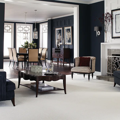 Carpet Gallery at Hemphill's Rugs & Carpets serving Orange County region